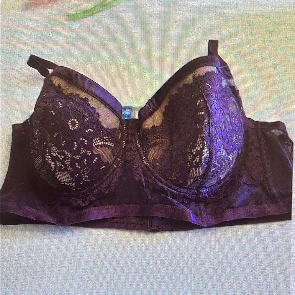 Elegant Purple Lace Bra